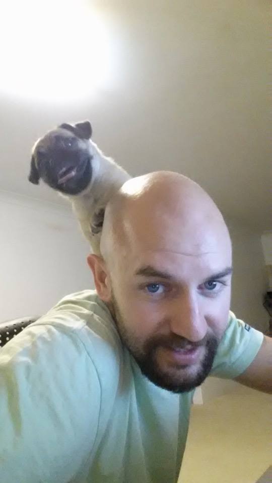My Dog thinks he's a Parrot...